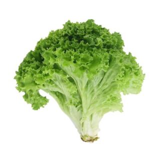 Lettuce (per bundle)