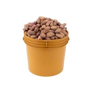 Dates (Paint Bucket)